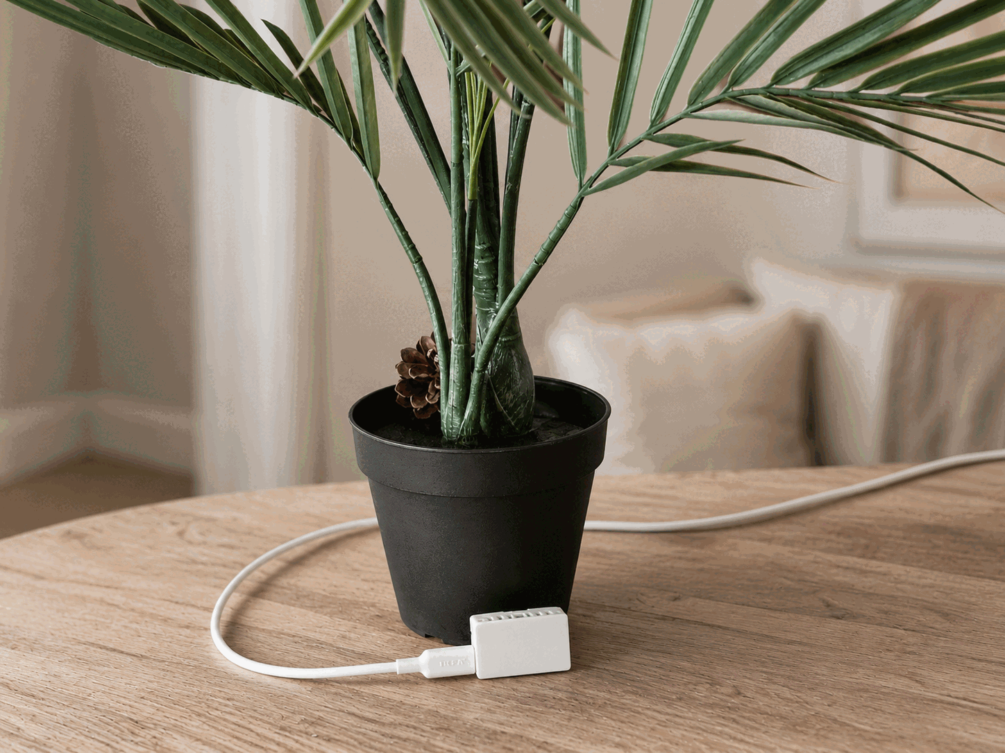 A compact CO₂ monitor powered by a USB cable, placed beside a plant on a living-room table.